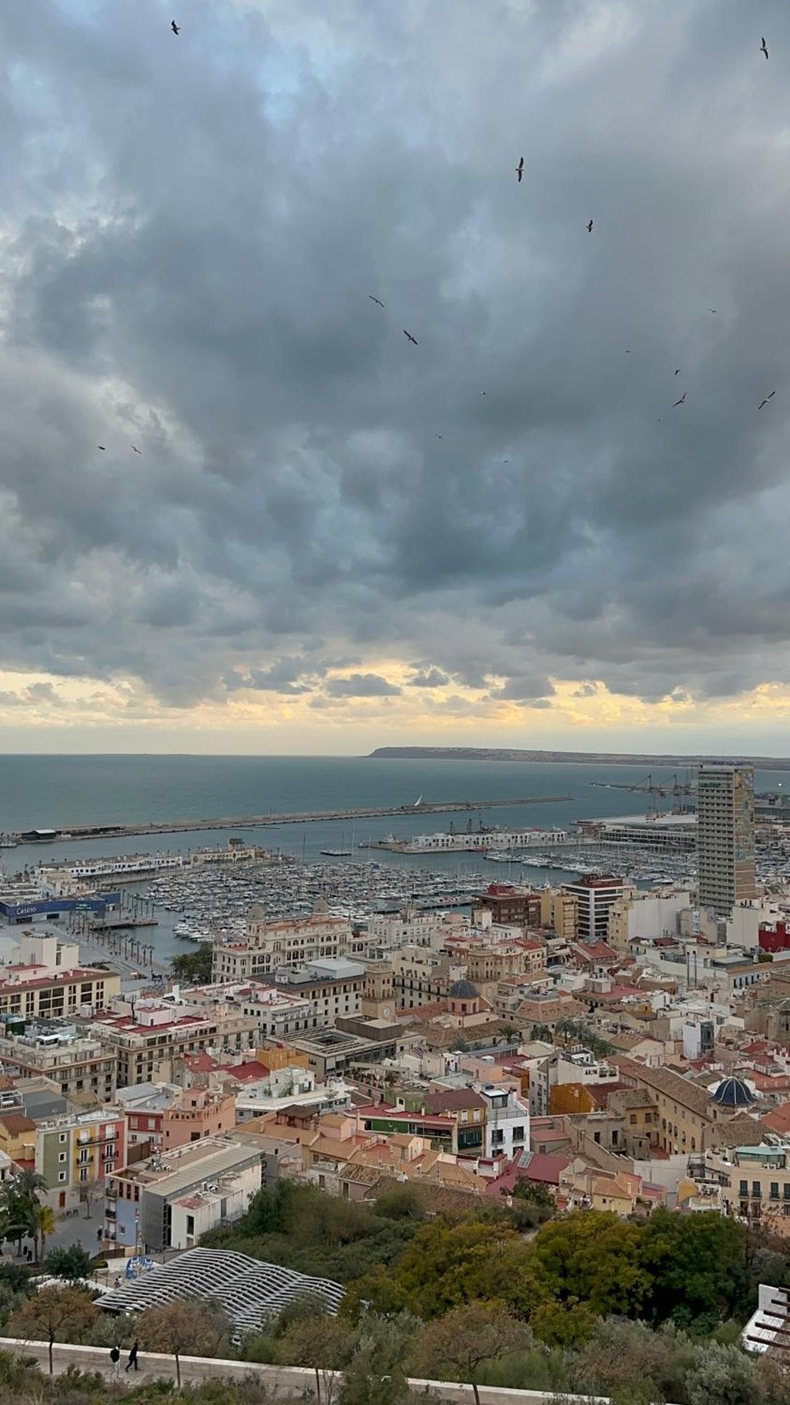 La Reina Apartment By The Sea Alicante Dış mekan fotoğraf